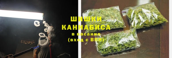 прущие крисы Вяземский